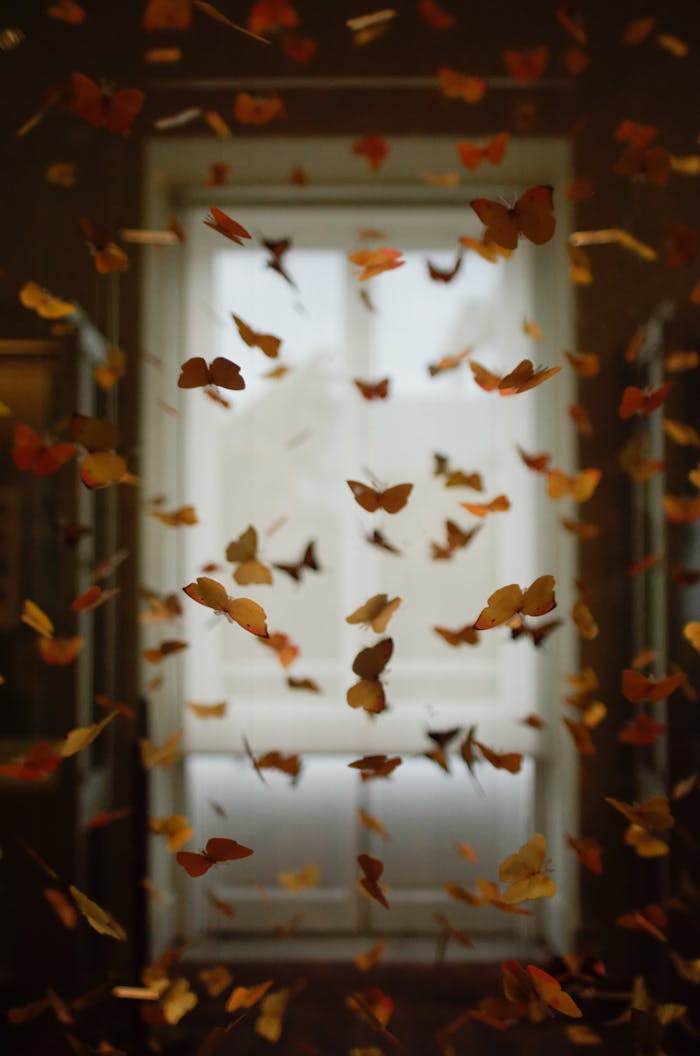 A mesmerizing display of butterflies flying against a softly lit window backdrop.